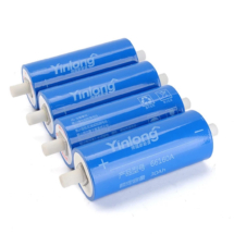 LTO Batterie - nicht brennbar und ind. ausbaubar für Kunden